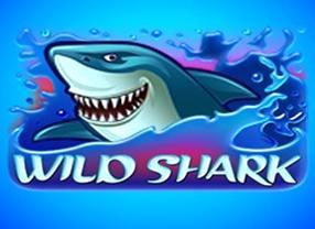 Wild-Shark